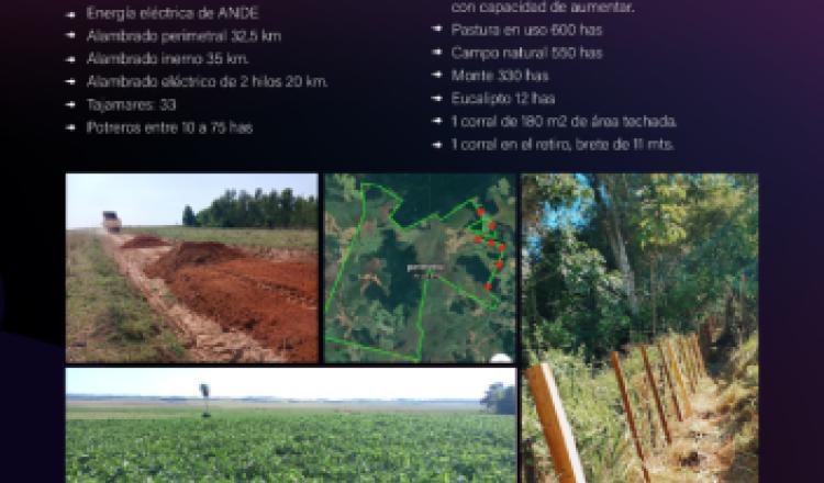 Terreno agrícola/ganadero